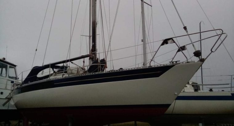 Kings Cruiser 33ft autopilot + Ny Vetus motor 300t