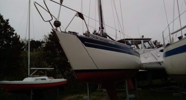Kings Cruiser 33ft autopilot + Ny Vetus motor 300t