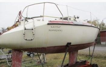 Mani66