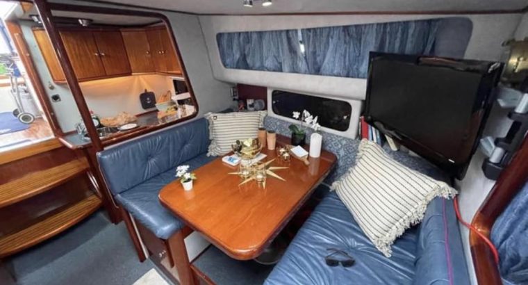 Chris Chaft AmeroSport 320 Special Edition