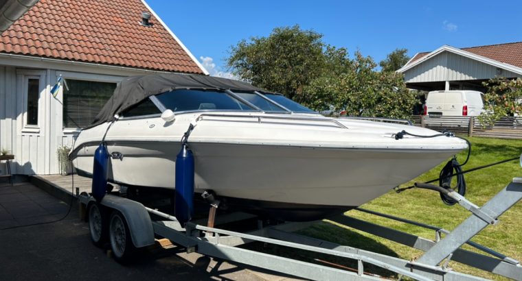 Sea Ray 180 sport, Suzuki DT225 V6