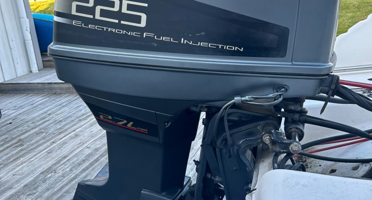 Sea Ray 180 sport, Suzuki DT225 V6