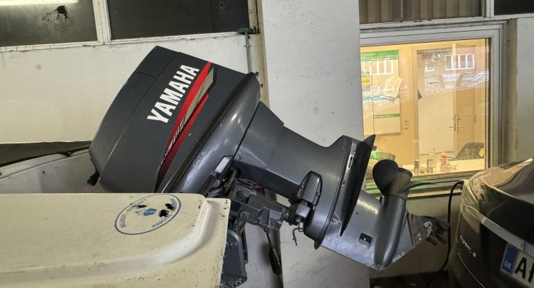 Vestfjord 19 speedbåd fortjener en handy ejer