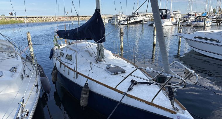 Grace 30 sejlbåd sælges ligger i Vallensbæk havn
